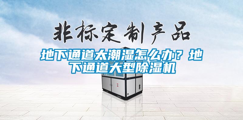 地下通道太潮濕怎么辦？地下通道大型除濕機