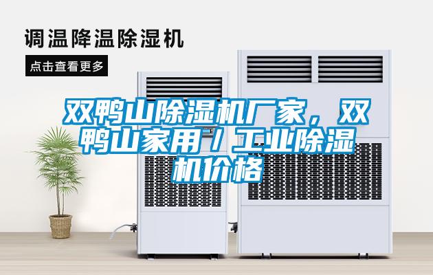 雙鴨山除濕機(jī)廠家，雙鴨山家用／工業(yè)除濕機(jī)價(jià)格