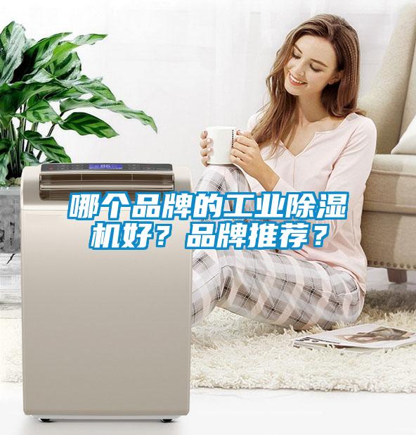 哪個(gè)品牌的工業(yè)除濕機(jī)好？品牌推薦？