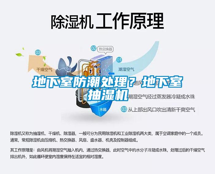 地下室防潮處理？地下室抽濕機