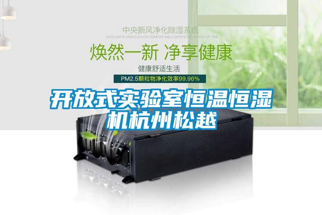 開放式實驗室恒溫恒濕機(jī)杭州松越