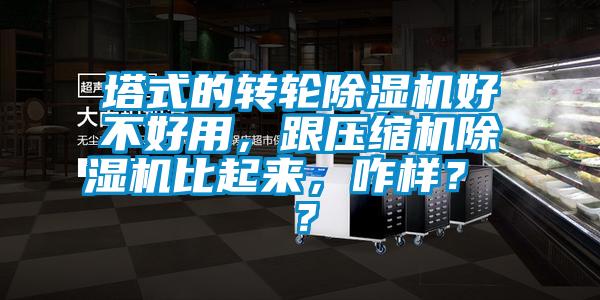 塔式的轉(zhuǎn)輪除濕機(jī)好不好用，跟壓縮機(jī)除濕機(jī)比起來(lái)，咋樣？ ？