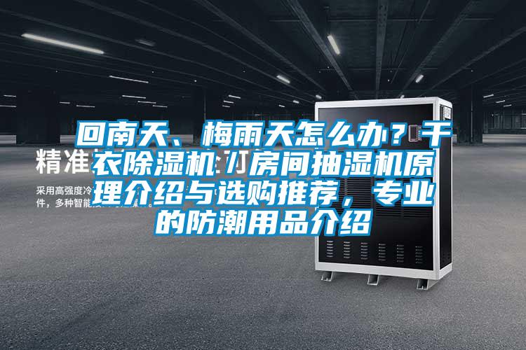 回南天、梅雨天怎么辦？干衣除濕機／房間抽濕機原理介紹與選購推薦，專業(yè)的防潮用品介紹