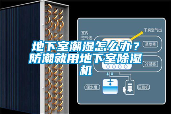 地下室潮濕怎么辦？防潮就用地下室除濕機