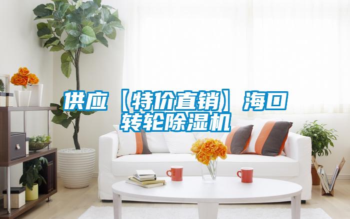 供應(yīng)【特價(jià)直銷(xiāo)】?？谵D(zhuǎn)輪除濕機(jī)