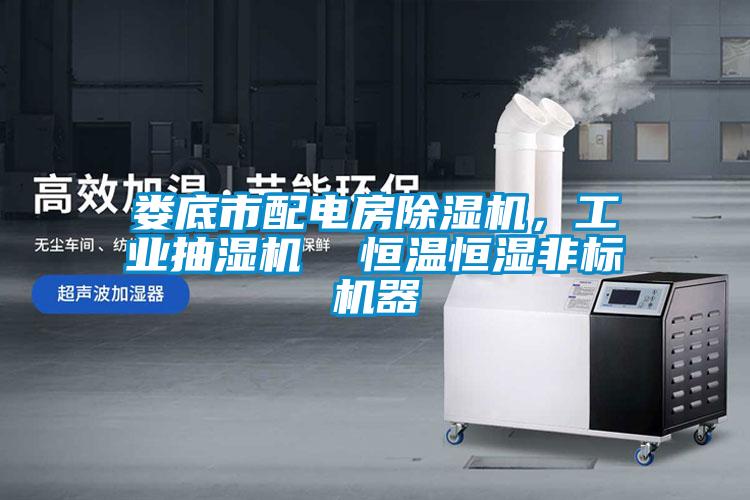 婁底市配電房除濕機(jī)，工業(yè)抽濕機(jī)  恒溫恒濕非標(biāo)機(jī)器
