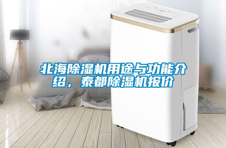 北海除濕機(jī)用途與功能介紹，泰都除濕機(jī)報(bào)價(jià)