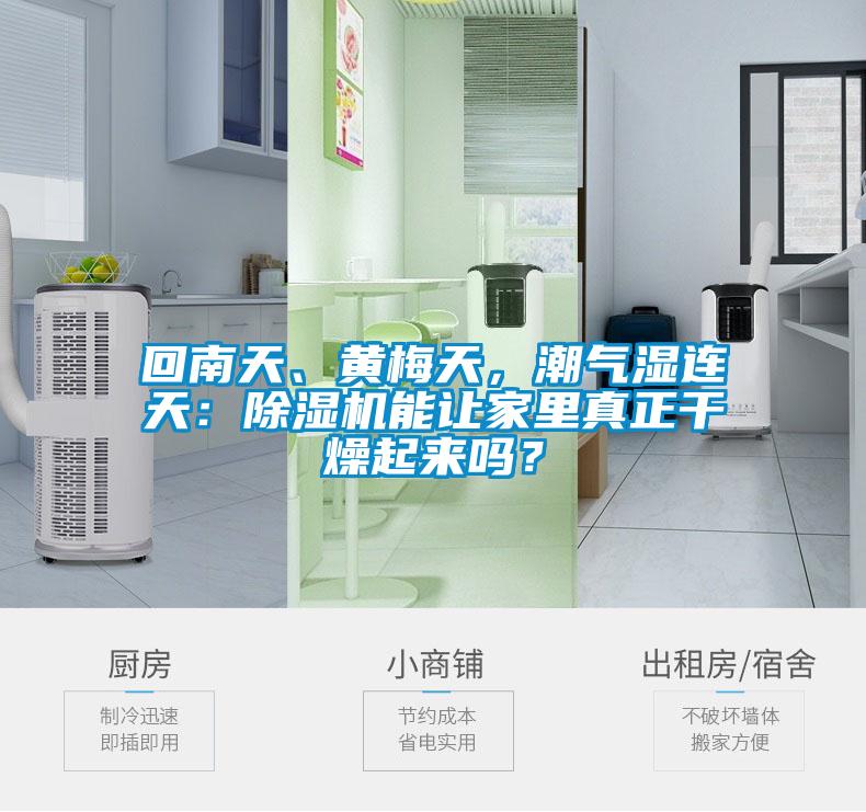 回南天、黃梅天，潮氣濕連天：除濕機能讓家里真正干燥起來嗎？