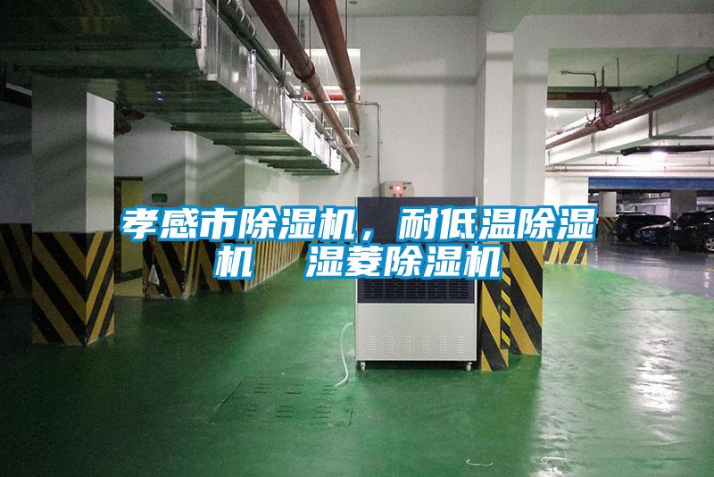 孝感市除濕機(jī)，耐低溫除濕機(jī)  濕菱除濕機(jī)