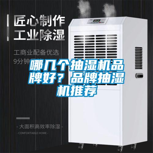 哪幾個抽濕機品牌好？品牌抽濕機推薦