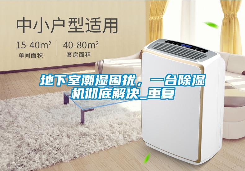 地下室潮濕困擾，一臺(tái)除濕機(jī)徹底解決_重復(fù)
