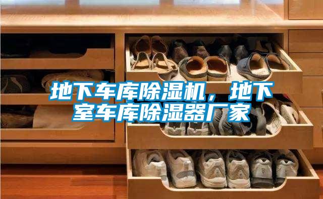 地下車庫除濕機(jī)，地下室車庫除濕器廠家