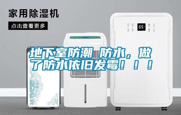 地下室防潮≠防水，做了防水依舊發(fā)霉?。?！