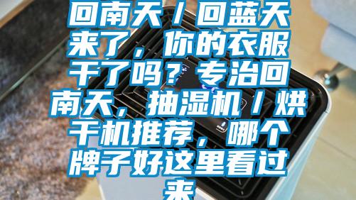 回南天／回藍(lán)天來了，你的衣服干了嗎？專治回南天，抽濕機(jī)／烘干機(jī)推薦，哪個(gè)牌子好這里看過來