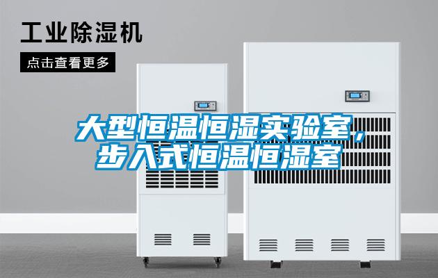 大型恒溫恒濕實(shí)驗(yàn)室，步入式恒溫恒濕室