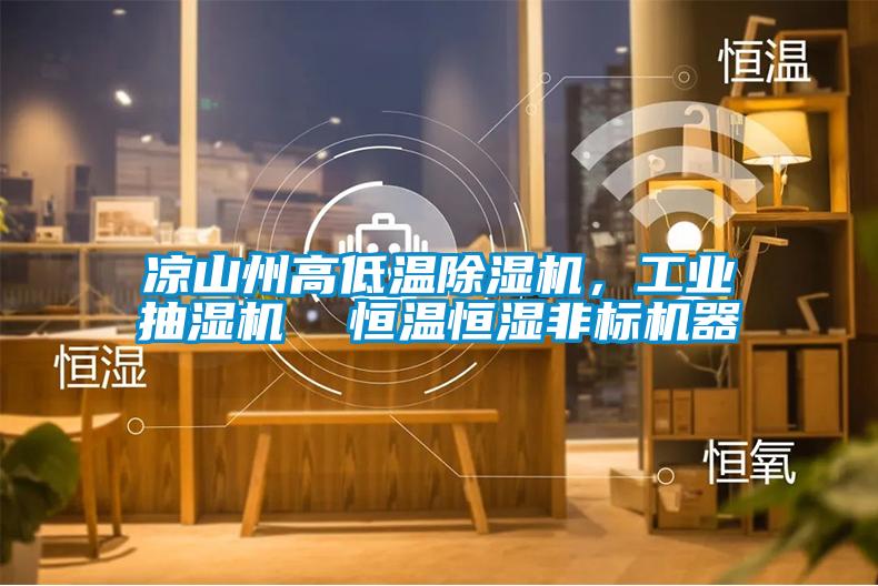 涼山州高低溫除濕機(jī)，工業(yè)抽濕機(jī)  恒溫恒濕非標(biāo)機(jī)器