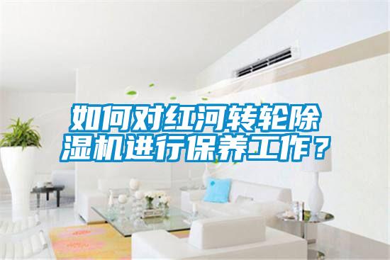如何對紅河轉(zhuǎn)輪除濕機(jī)進(jìn)行保養(yǎng)工作？