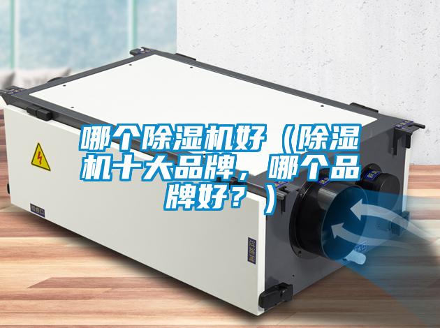 哪個除濕機好（除濕機十大品牌，哪個品牌好？）