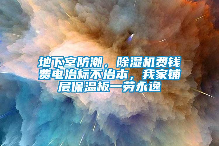 地下室防潮，除濕機費錢費電治標不治本，我家鋪層保溫板一勞永逸