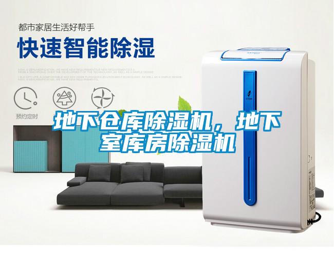地下倉庫除濕機(jī)，地下室?guī)旆砍凉駲C(jī)