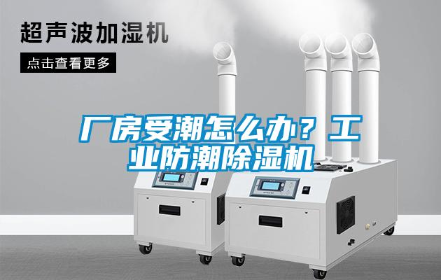 廠(chǎng)房受潮怎么辦？工業(yè)防潮除濕機(jī)
