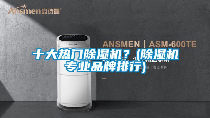 十大熱門除濕機(jī)？(除濕機(jī)專業(yè)品牌排行)