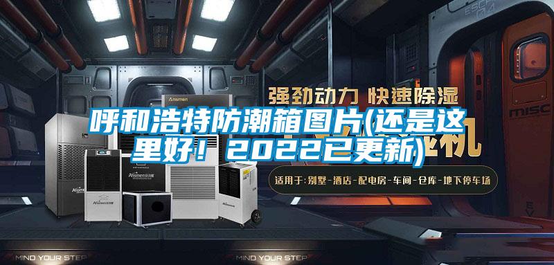 呼和浩特防潮箱圖片(還是這里好！2022已更新)