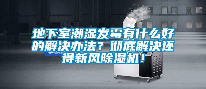 地下室潮濕發(fā)霉有什么好的解決辦法？徹底解決還得新風除濕機！