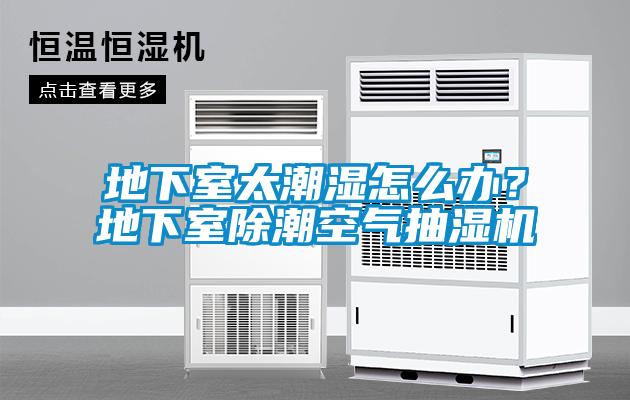 地下室太潮濕怎么辦？地下室除潮空氣抽濕機(jī)