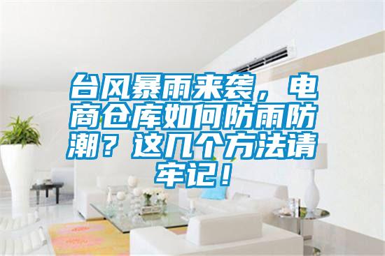 臺(tái)風(fēng)暴雨來襲，電商倉(cāng)庫(kù)如何防雨防潮？這幾個(gè)方法請(qǐng)牢記！