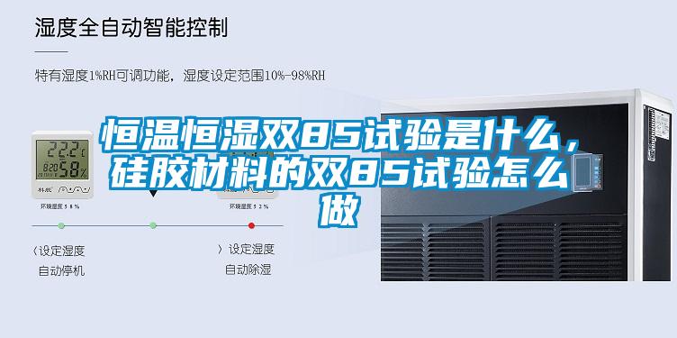恒溫恒濕雙85試驗是什么，硅膠材料的雙85試驗怎么做