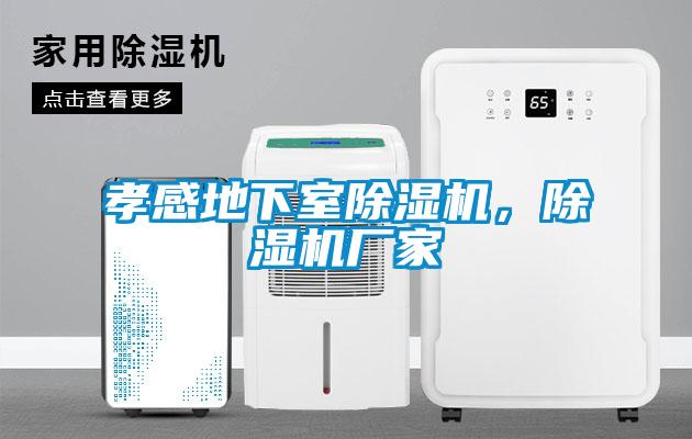 孝感地下室除濕機(jī)，除濕機(jī)廠家