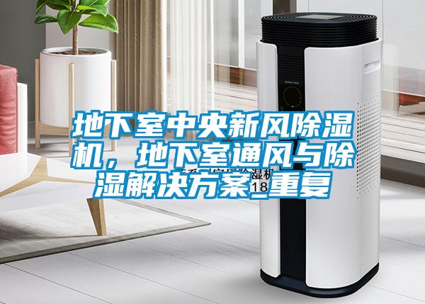 地下室中央新風(fēng)除濕機(jī)，地下室通風(fēng)與除濕解決方案_重復(fù)