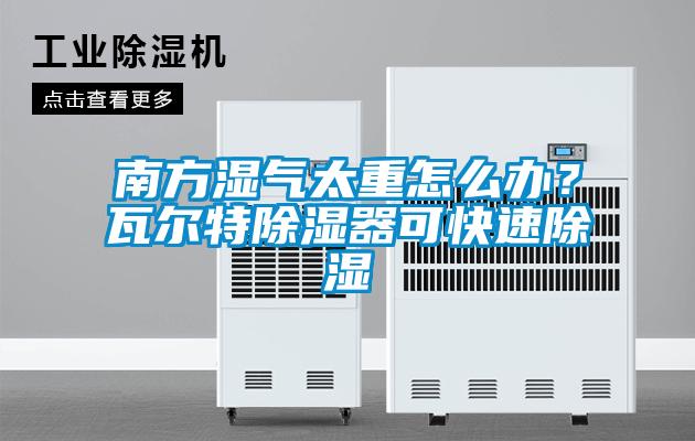 南方濕氣太重怎么辦？瓦爾特除濕器可快速除濕