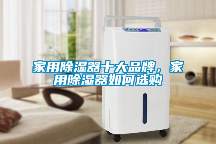 家用除濕器十大品牌，家用除濕器如何選購(gòu)