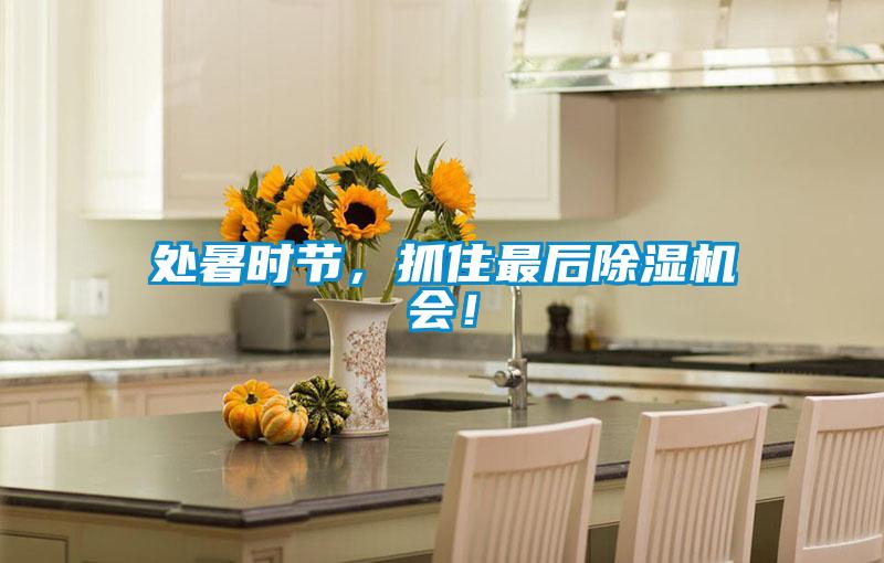處暑時節(jié)，抓住最后除濕機會！