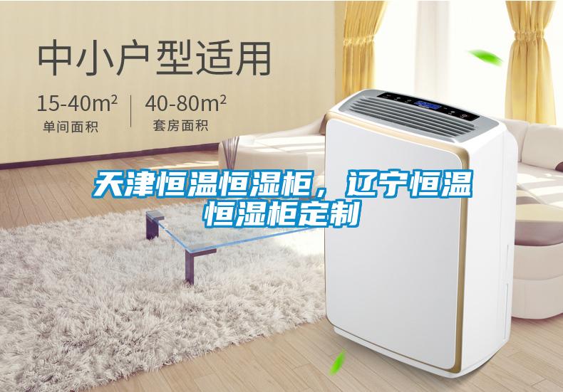 天津恒溫恒濕柜，遼寧恒溫恒濕柜定制