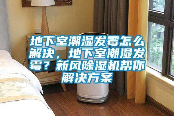 地下室潮濕發(fā)霉怎么解決，地下室潮濕發(fā)霉？新風(fēng)除濕機(jī)幫你解決方案