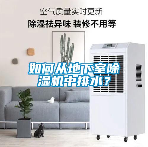 如何從地下室除濕機中排水？