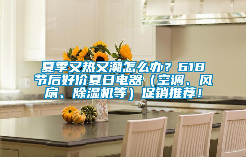 夏季又熱又潮怎么辦？618節(jié)后好價夏日電器（空調(diào)、風(fēng)扇、除濕機等）促銷推薦！