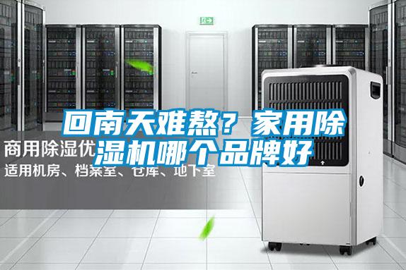 回南天難熬？家用除濕機(jī)哪個(gè)品牌好