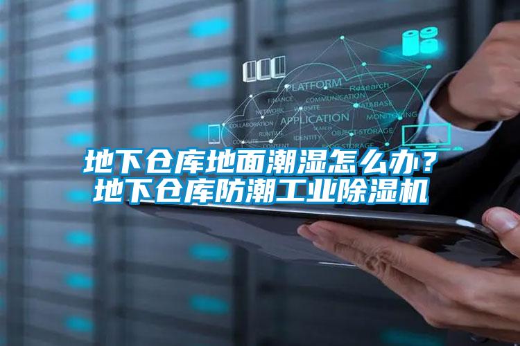 地下倉庫地面潮濕怎么辦？地下倉庫防潮工業(yè)除濕機(jī)