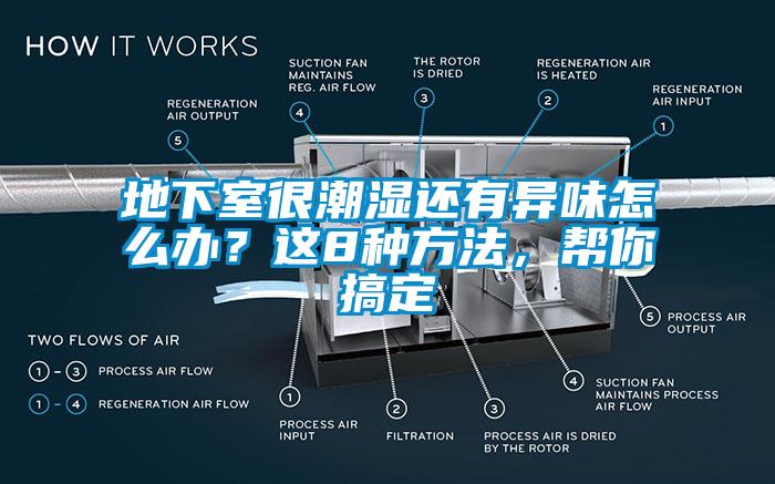 地下室很潮濕還有異味怎么辦？這8種方法，幫你搞定