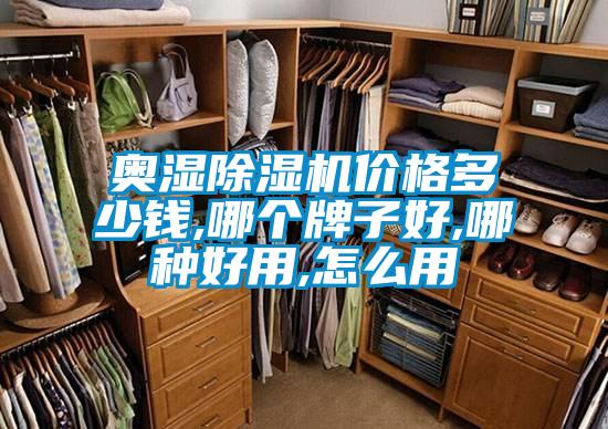 奧濕除濕機(jī)價(jià)格多少錢,哪個牌子好,哪種好用,怎么用