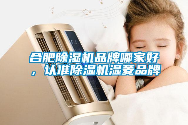 合肥除濕機品牌哪家好，認準除濕機濕菱品牌