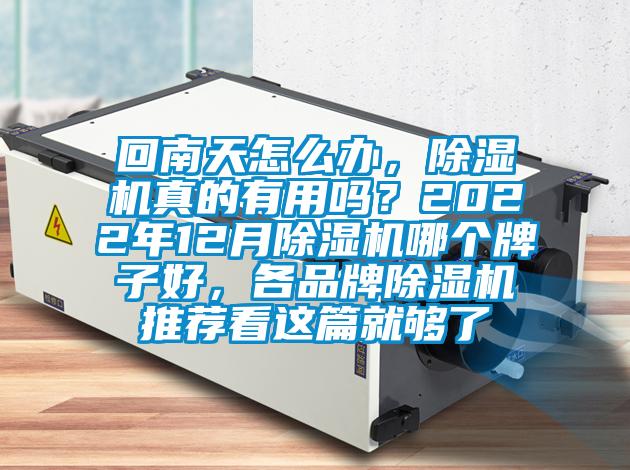 回南天怎么辦，除濕機真的有用嗎？2022年12月除濕機哪個牌子好，各品牌除濕機推薦看這篇就夠了
