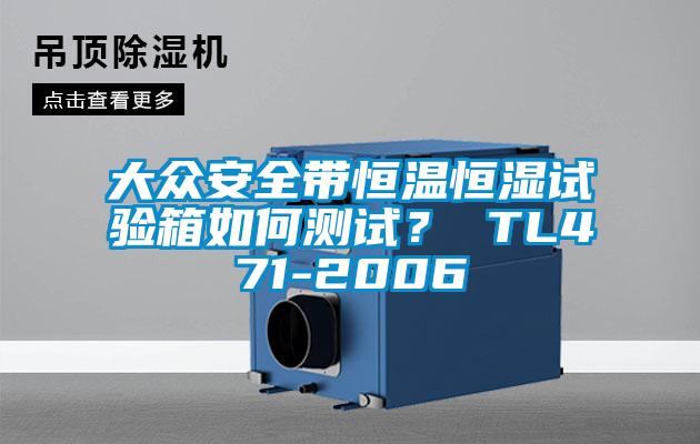 大眾安全帶恒溫恒濕試驗箱如何測試？ TL471-2006