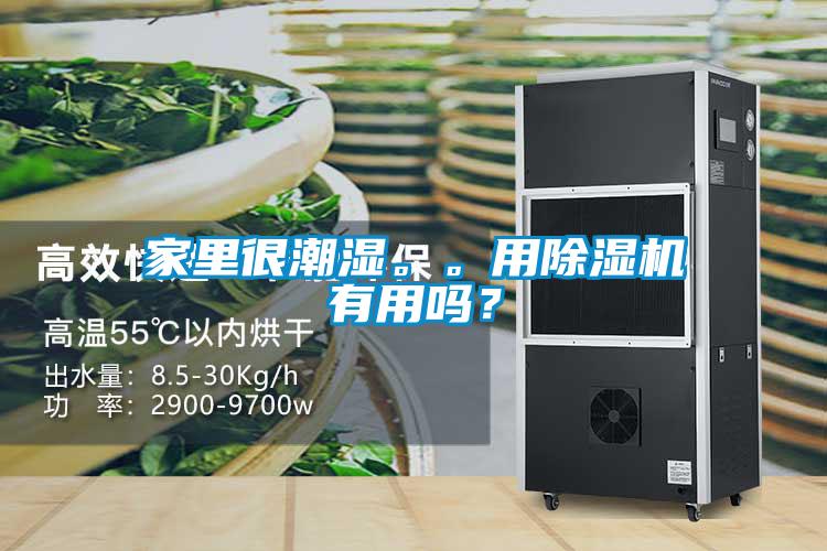 家里很潮濕。。用除濕機有用嗎？