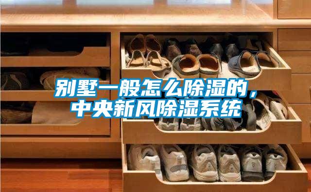 別墅一般怎么除濕的，中央新風(fēng)除濕系統(tǒng)