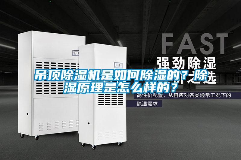 吊頂除濕機(jī)是如何除濕的？除濕原理是怎么樣的？